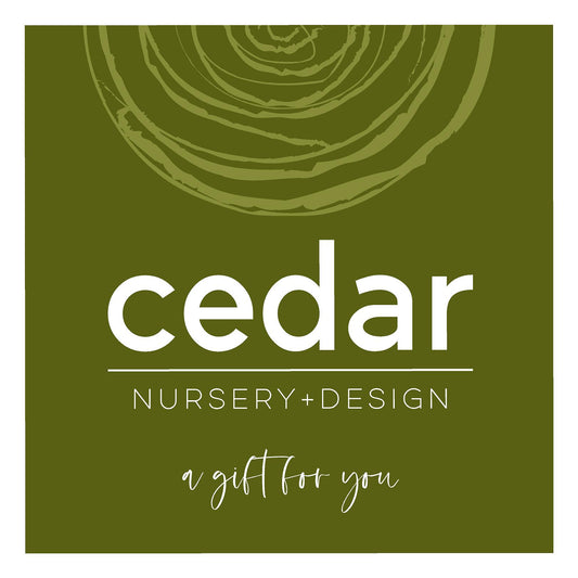 Cedar Nursery + Design Gift Card
